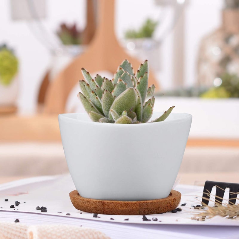 Brajttt Succluent Pots ï¼ŒSmall Flower Pots Planter Pots with Drinage,Ceramic Flowers Pots with Bamboo Tray for Cactus(12 Pack) - Image 5